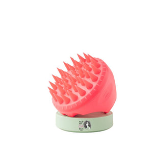 Brosse massante cuir chevelu Scalp brush innovation - POPMYCURLS BOX PARIS